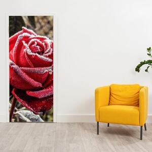 Fototapeta na dvere - Zmrznutá červená ruža (95x205cm)