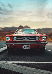 Umelecká fotografie Mustang Love, Fadil Roze, (26.7 x 40 cm)
