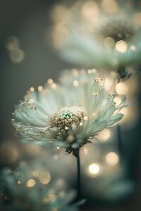 Umelecká fotografie Mint Flower, Treechild, (26.7 x 40 cm)
