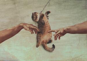 Ilustrácia Touch of the Kitty, Artem Pozdniakov, (40 x 30 cm)