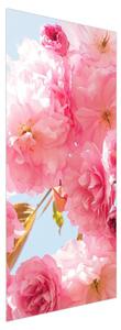 Fototapeta na dvere - Ružové kvety (95x205cm)
