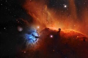 Fotografia Horsehead nebula, IC 434 Narrowband, Paul C Swift