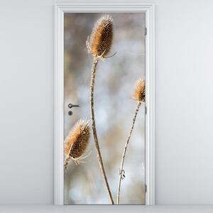 Fototapeta na dvere - suché poľné kvety (95x205cm)