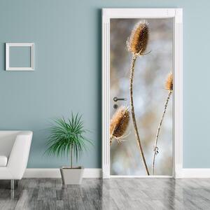 Fototapeta na dvere - suché poľné kvety (95x205cm)