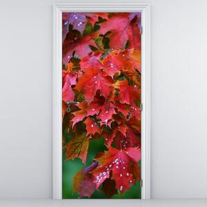 Fototapeta na dvere - jesenné lístie (95x205cm)