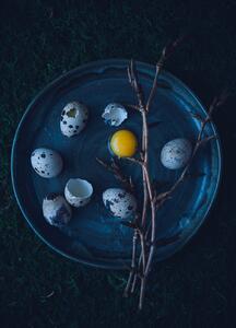 Umelecká fotografie Eggs, Aleksandrova Karina, (30 x 40 cm)