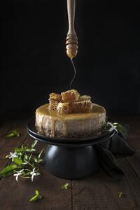 Umelecká fotografie Baklava cheesecake and honey comb, Diana Popescu, (26.7 x 40 cm)