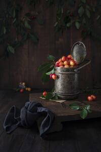 Umelecká fotografie Yellow cherries, Diana Popescu, (26.7 x 40 cm)