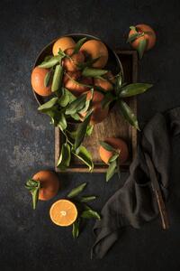 Umelecká fotografie Oranges, Diana Popescu, (26.7 x 40 cm)