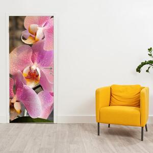 Fototapeta na dvere - orchidea (95x205cm)