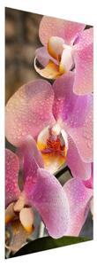 Fototapeta na dvere - orchidea (95x205cm)