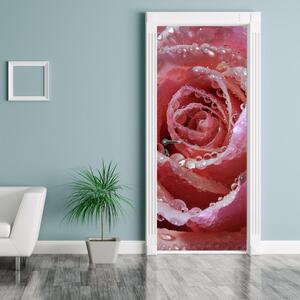 Fototapeta na dvere - kvet ruže (95x205cm)
