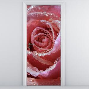 Fototapeta na dvere - kvet ruže (95x205cm)