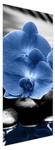 Fototapeta na dvere - modré kvety (95x205cm)