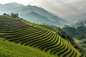 Umelecká fotografie Rice fields on terraced of Mu, wiratgasem, (40 x 26.7 cm)