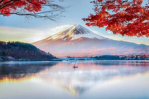 Umelecká fotografie Fuji Mountain , Red Maple Tree, DoctorEgg, (40 x 26.7 cm)