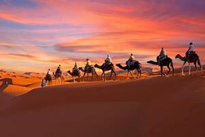Umelecká fotografie Camel caravan going through the Sahara, Nisangha, (40 x 26.7 cm)