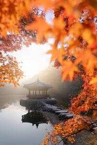 Umelecká fotografie Beautiful Autumn scene of Naejangsan national, Twenty47studio, (26.7 x 40 cm)