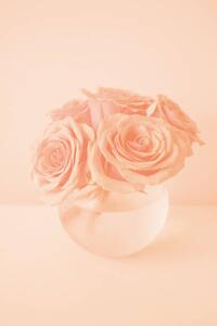 Umelecká fotografie Roses in the color of 2024 year Peach Fuzz, Anna Blazhuk, (26.7 x 40 cm)
