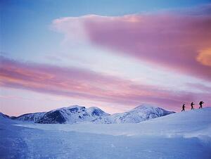 Umelecká fotografie Group Snowshoeing in Snow, David Trood, (40 x 30 cm)