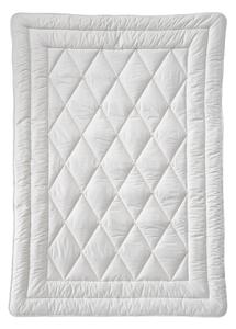 LETNÁ PRIKRÝVKA, 135/200 cm, bavlnená výplň Billerbeck - Prikrývky & vankúše, Online Only