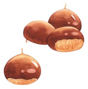 Umelecká fotografie Watercolor Chestnuts, saemilee, (40 x 40 cm)