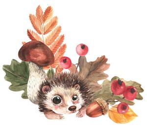 Umelecká fotografie Corner composition of hedgehog, mushrooms, falling, Tatyana Apt, (40 x 40 cm)