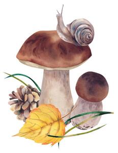 Fotografia Porcini mushrooms with autumn leaves, snail, Marina Skryzhova, (40 x 40 cm)