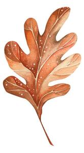 Umelecká fotografie A beautiful autumn watercolor oak leaf, Lidiia Biktimirova, (40 x 40 cm)