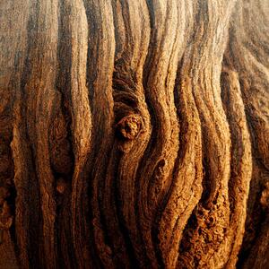Umelecká fotografie Image Of Tree Bark Texture, Nenov, (40 x 40 cm)