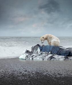 Umelecká fotografie Polar bear on the melting iceberg, narvikk, (35 x 40 cm)