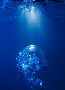 Fotografia Bubble on spot light in blue water, Biwa Studio