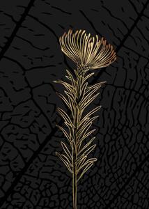 Ilustrácia Minimalist botanical illustration. Golden outline of, Elena Makarova, (30 x 40 cm)