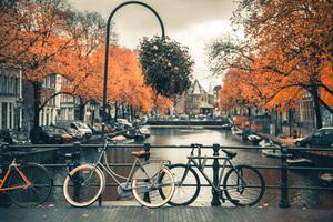 Umelecká fotografie View of canal in Amsterdam during Autumn Season, Umar Shariff Photography, (40 x 26.7 cm)