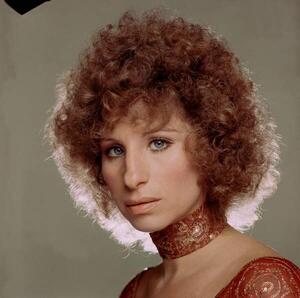Umelecká fotografie Barbra Streisand, (40 x 40 cm)