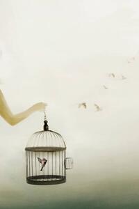 Ilustrácia hand holding an open cage with birds escaping out, fcscafeine, (26.7 x 40 cm)