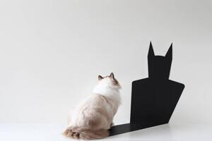Ilustrácia Conceptual ragdoll cat looking at bat shadow, pchyburrs, (40 x 26.7 cm)