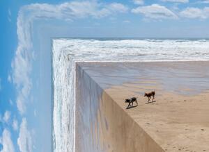 Ilustrácia Perspective bending image of two dogs on a beach, ImagePatch, (40 x 30 cm)