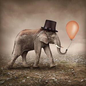 Ilustrácia Elephant with a balloon, egal, (40 x 40 cm)