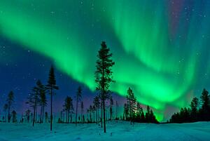 Umelecká fotografie Aurora Borealis Northern Lights Sweden, Dave Moorhouse, (40 x 26.7 cm)