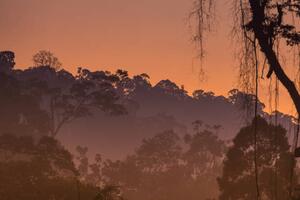 Umelecká fotografie Morning view of Endau Rompin National, shaifulzamri, (40 x 26.7 cm)