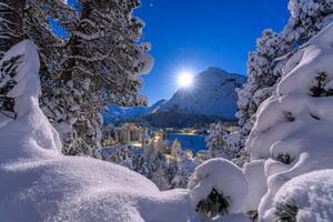 Umelecká fotografie Snowy forest lit by moon in winter, Switzerland, Roberto Moiola / Sysaworld, (40 x 26.7 cm)