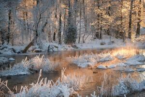Umelecká fotografie Morning by a frozen river in winter, Schon, (40 x 26.7 cm)