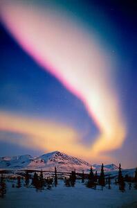 Fotografia USA, Alaska, Alaskan Range, Aurora Borealis, Johnny Johnson, (26.7 x 40 cm)