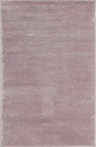 Koberec Loras 3849A fialový, Rozmery 1.40 x 0.70