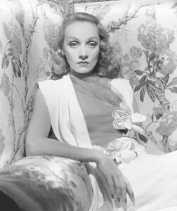 Umelecká fotografie Marlene Dietrich, (35 x 40 cm)
