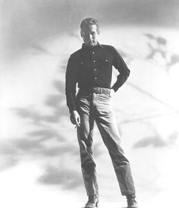 Fotografia Paul Newman, (35 x 40 cm)