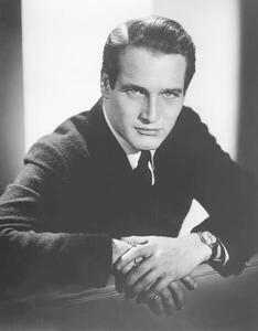 Fotografia Paul Newman In The 50'S, (30 x 40 cm)