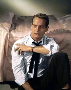 Umelecká fotografie American Actor Paul Newman C. 1958, (30 x 40 cm)