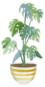 Ilustrácia Watercolor green floral house plants illustration.Hand, Anna Tkachenko
